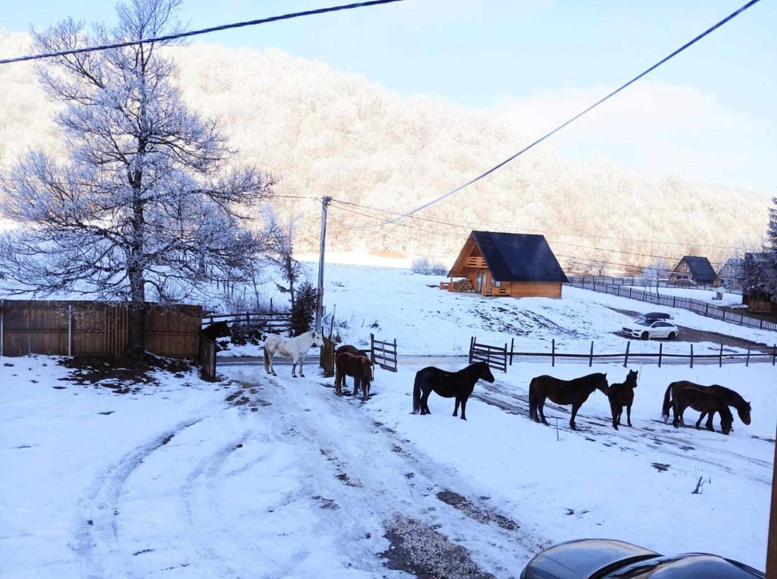 Vila Vikendica Nole Jahorina Pale Exteriér fotografie